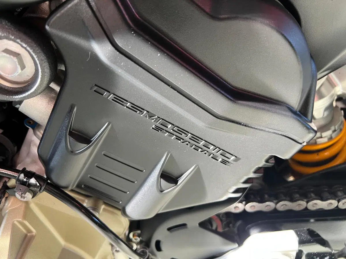 Ducati Streetfighter V4 1100 (2020) (18)