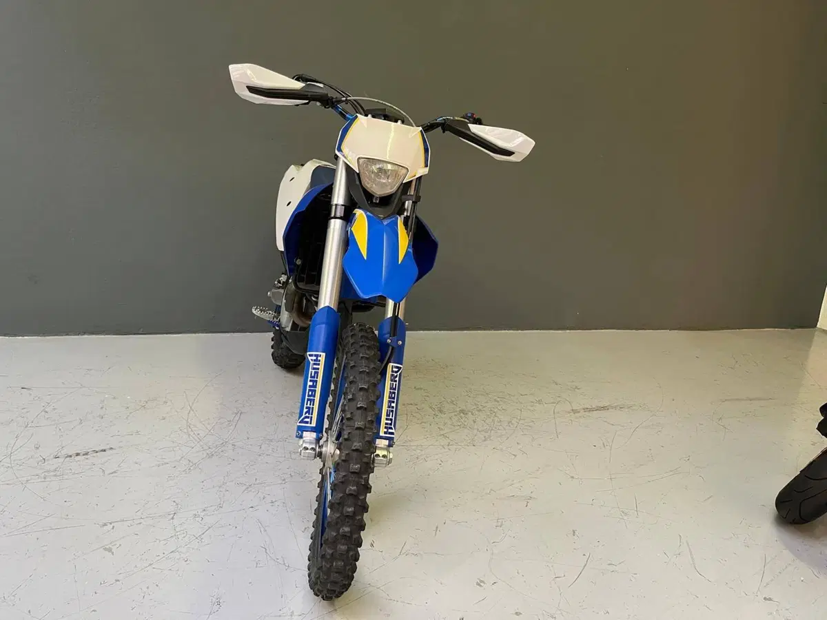 Husaberg FE 390 i.e. (3)