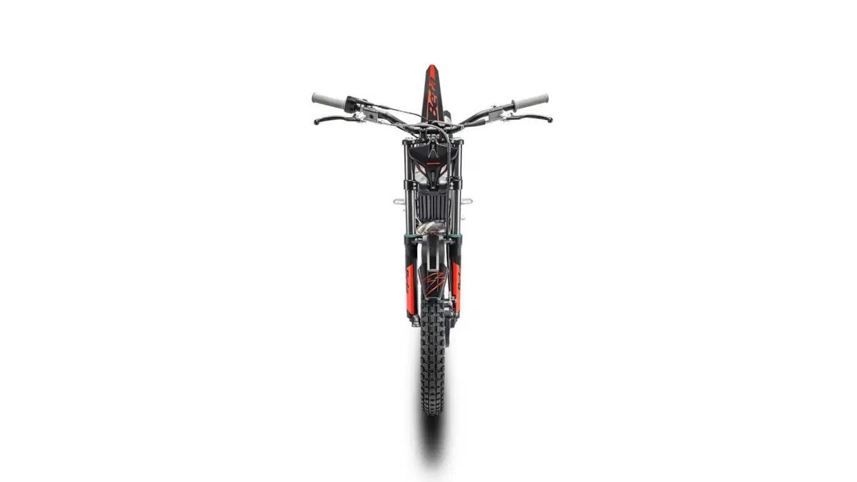 Betamotor Sincro 250 Sincro 250 2T (2027) (4)