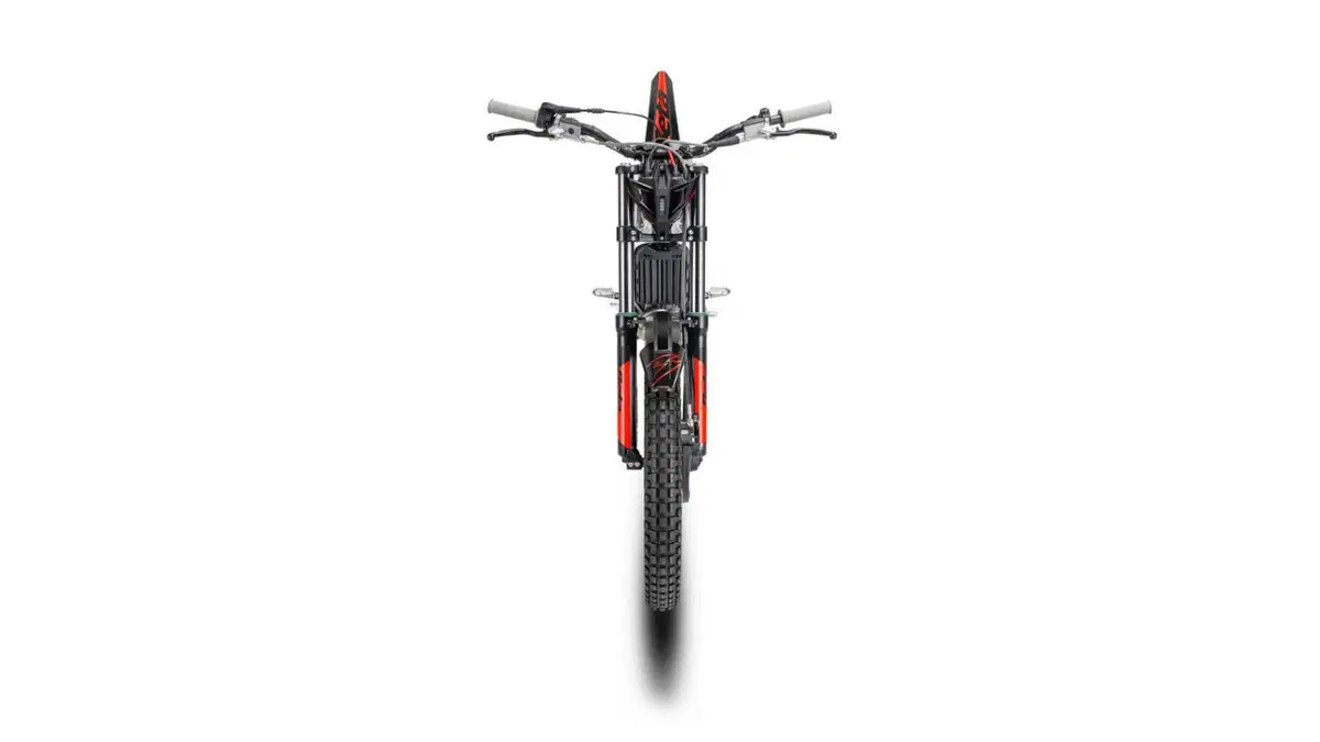 Betamotor Sincro 250 Sincro 250 2T E-Start (2027) (3)