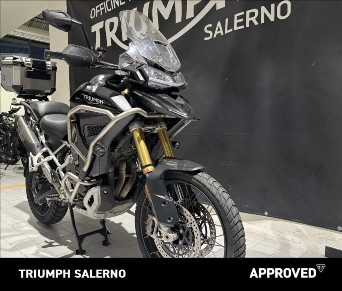Triumph Tiger 1200 Rally Explorer (2024 - 26) (2)