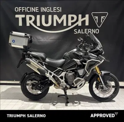 Triumph Tiger 1200 Rally Explorer (2024 - 26) usata