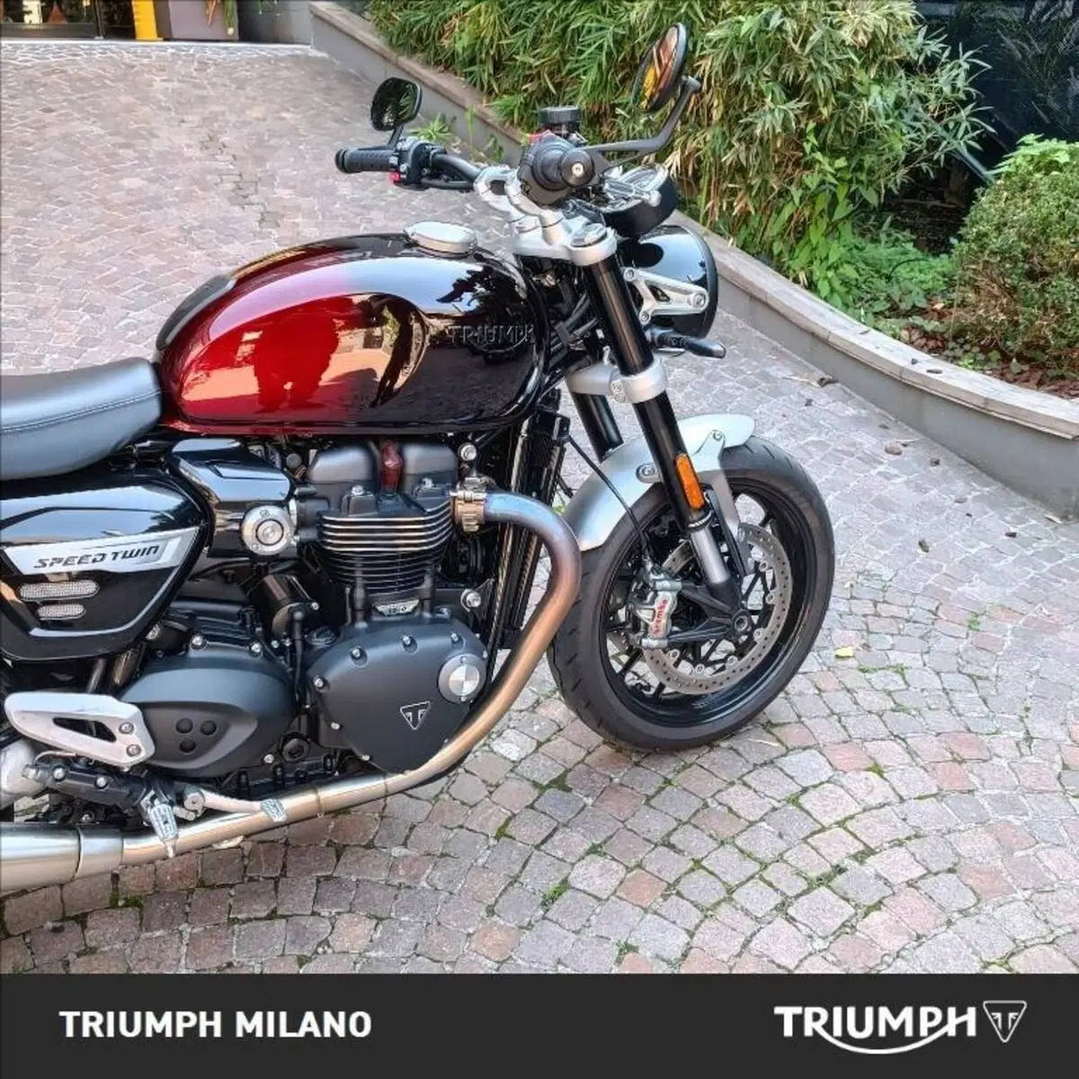 Triumph Speed Twin 1200 Stealth Edition (2024) (3)