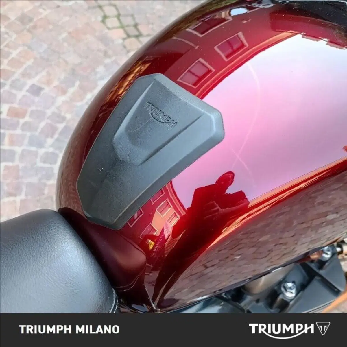 Triumph Speed Twin 1200 Stealth Edition (2024) (5)