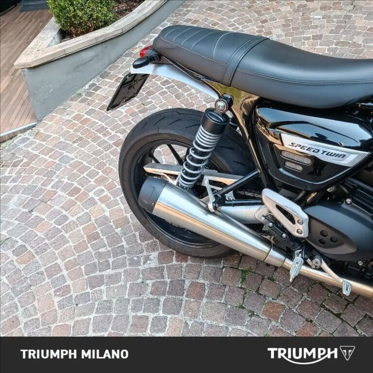 Triumph Speed Twin 1200 Stealth Edition (2024) (2)