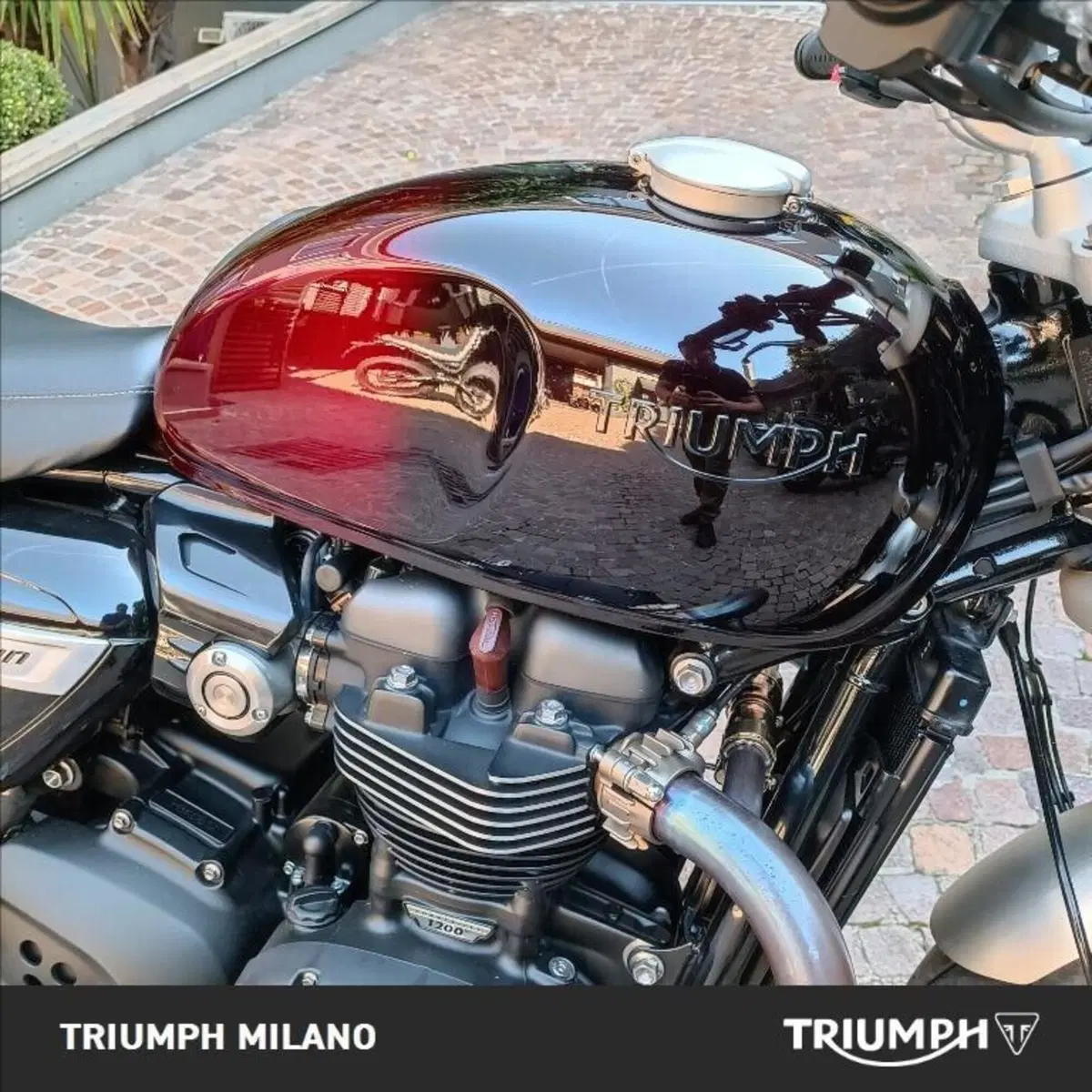 Triumph Speed Twin 1200 Stealth Edition (2024) (4)