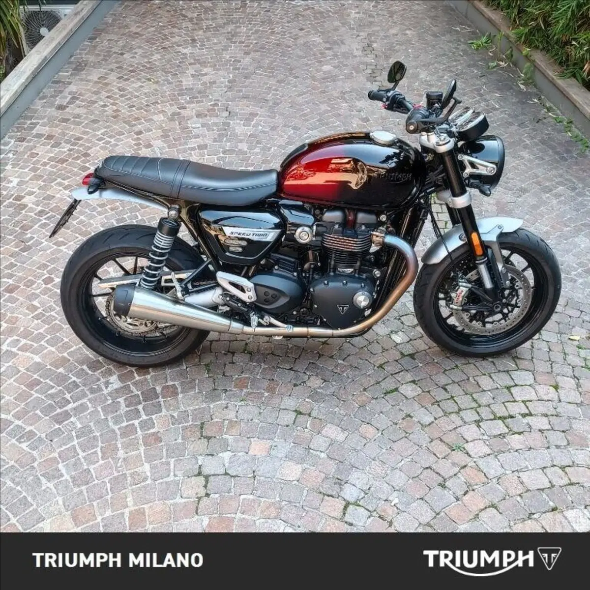 Triumph Speed Twin 1200 Stealth Edition (2024)