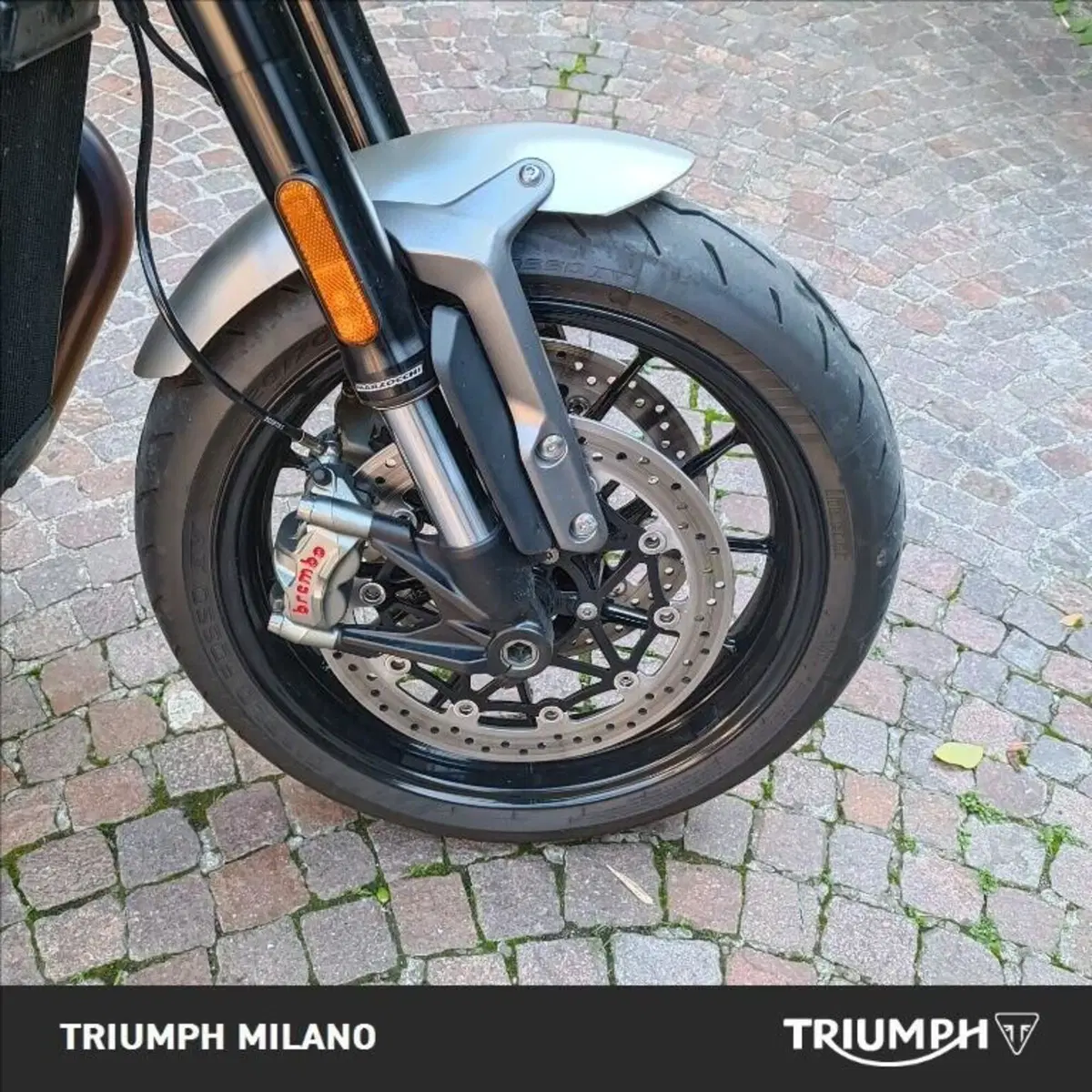 Triumph Speed Twin 1200 Stealth Edition (2024) (6)