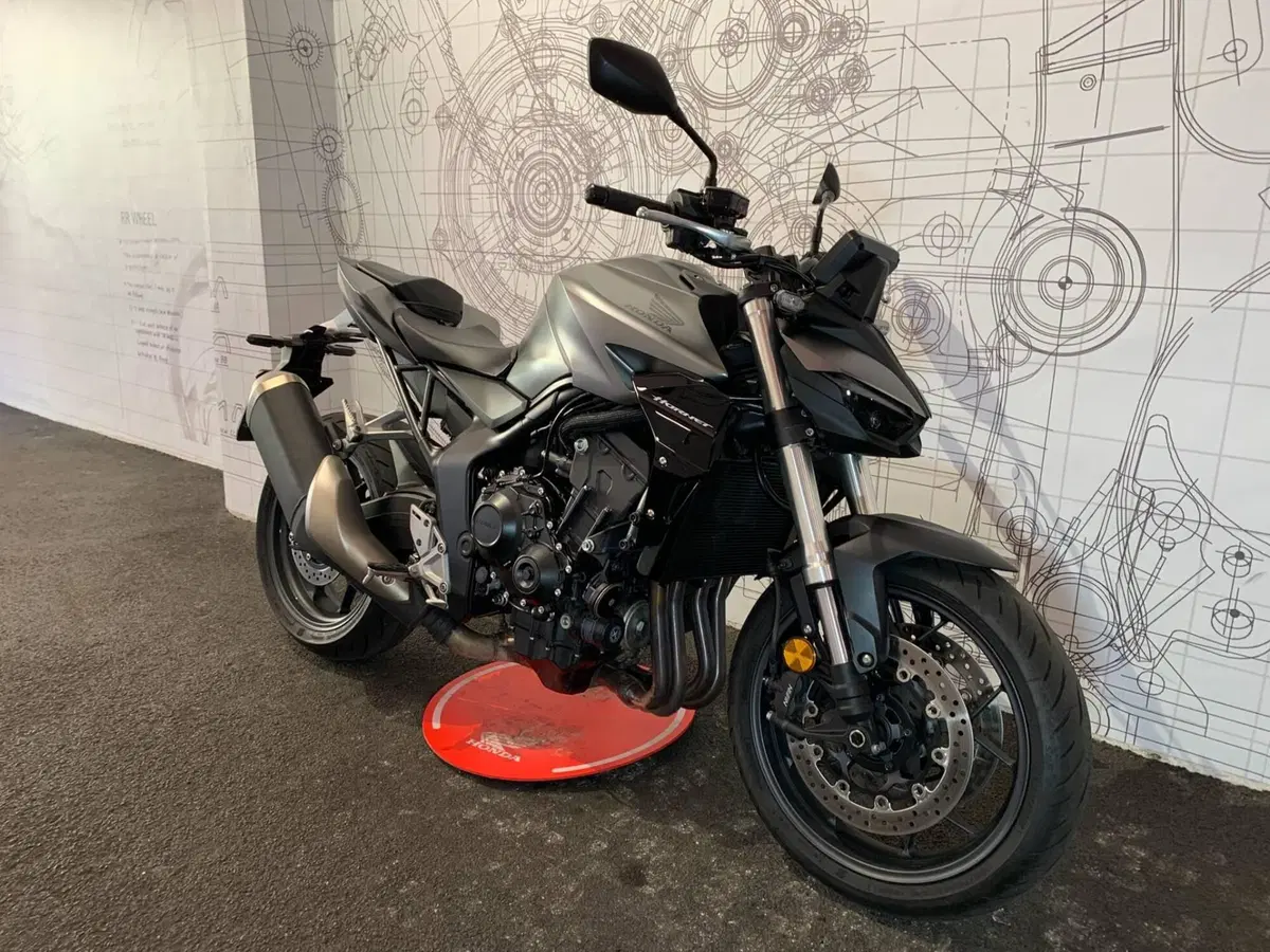 Honda CB 1000 Hornet (2025 - 26) (3)