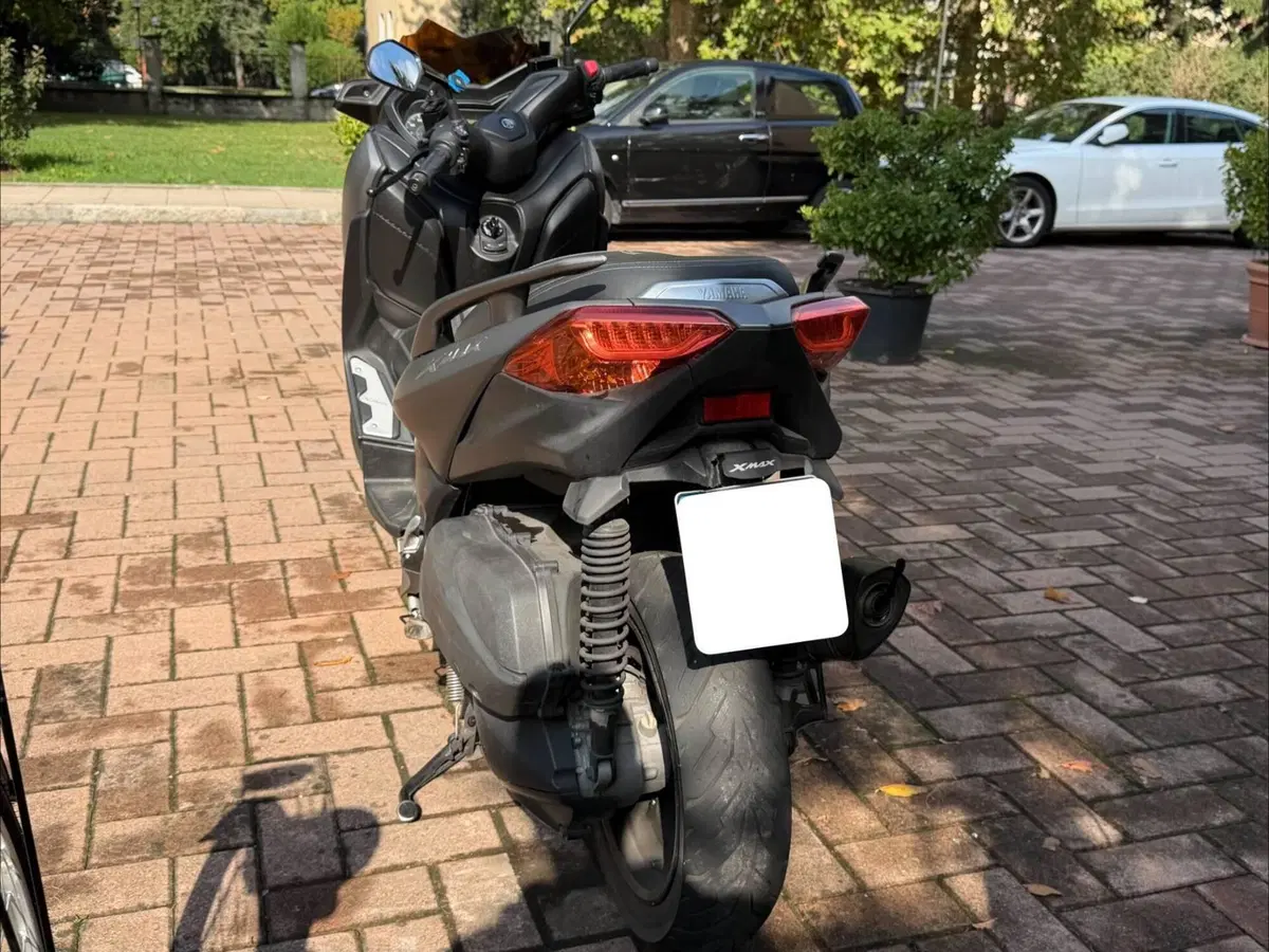 Yamaha X-Max 300 ABS (2017 - 20) (3)