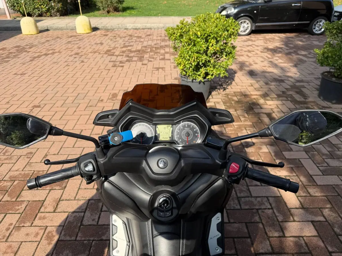 Yamaha X-Max 300 ABS (2017 - 20) (6)
