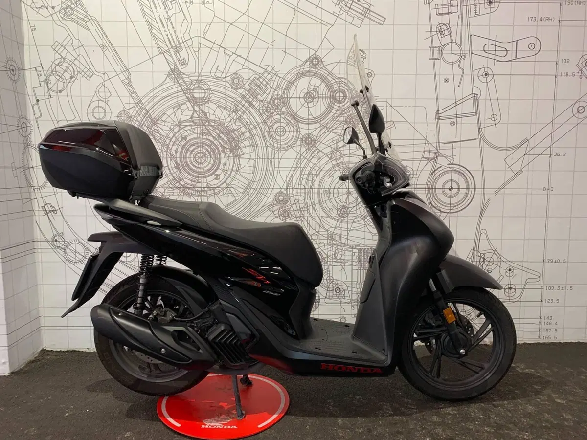 Honda SH 150i Sport (2024 - 25)