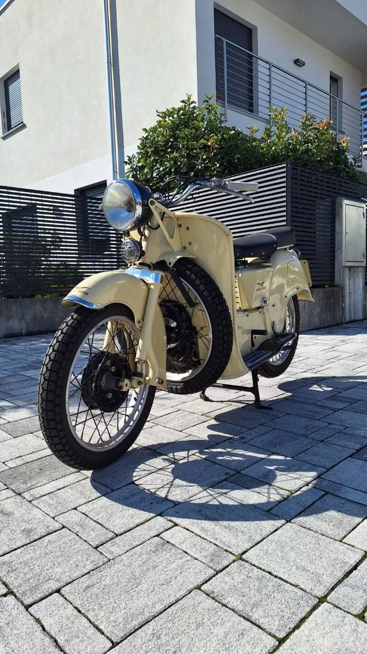 Moto Guzzi Galletto  (5)