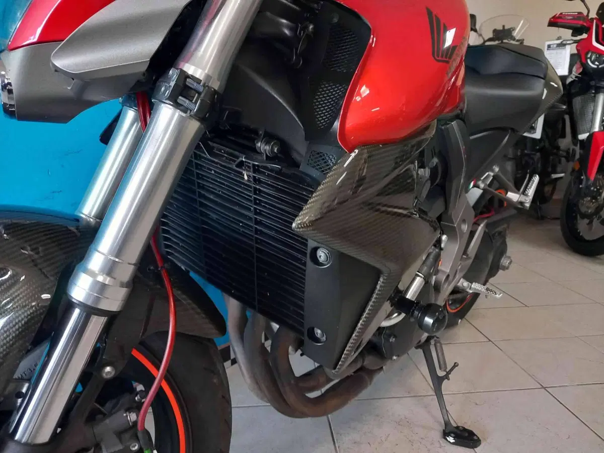 Honda CB 1000 R (2008 - 10) (15)