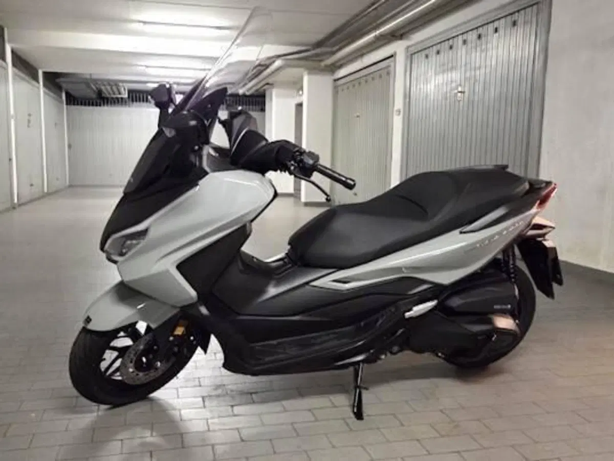 Honda Forza 350 (2025 - 26) (2)