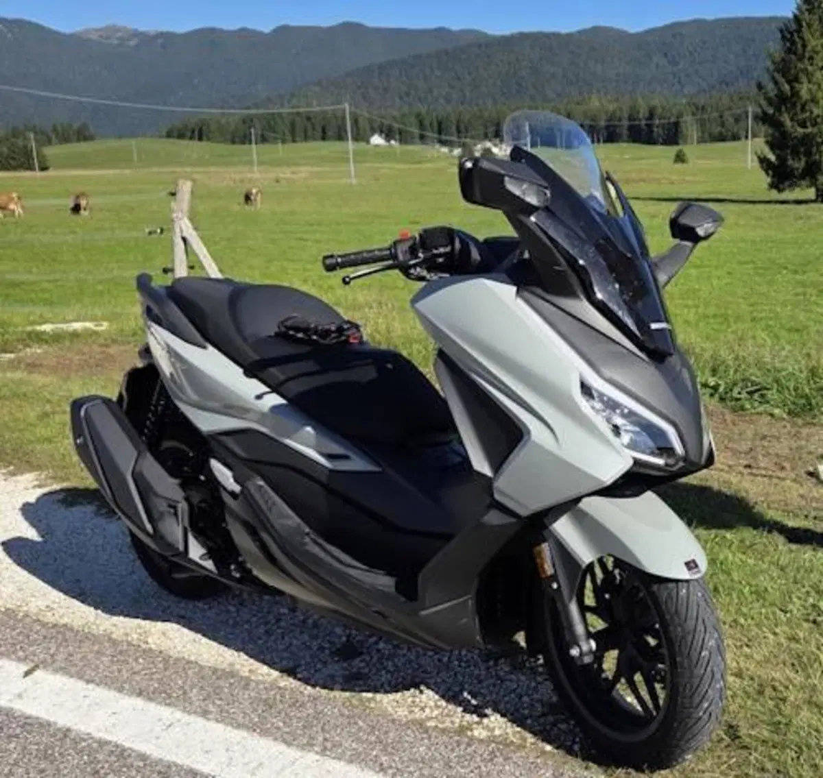 Honda Forza 350 (2025 - 26)