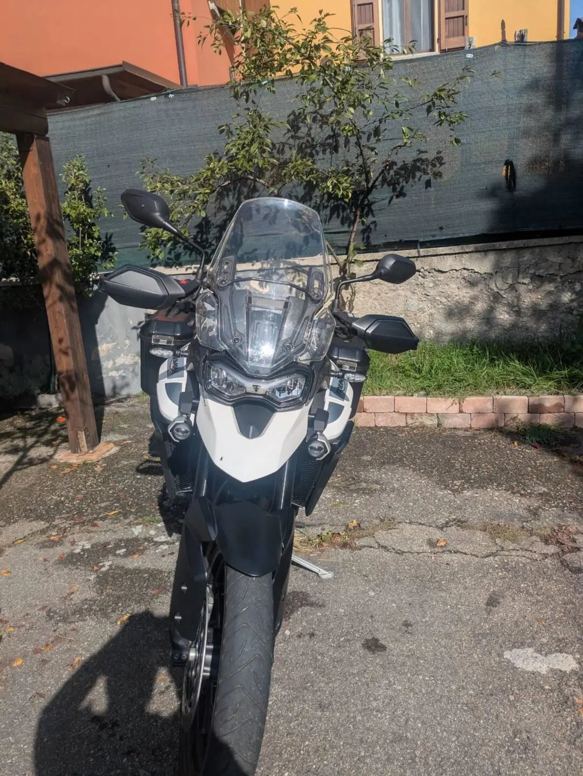 Triumph Tiger 900 GT (2020 - 23) (6)