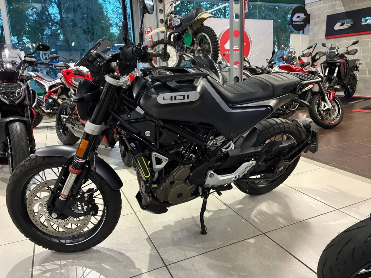 Husqvarna Svartpilen 401 (2021 - 23) (5)