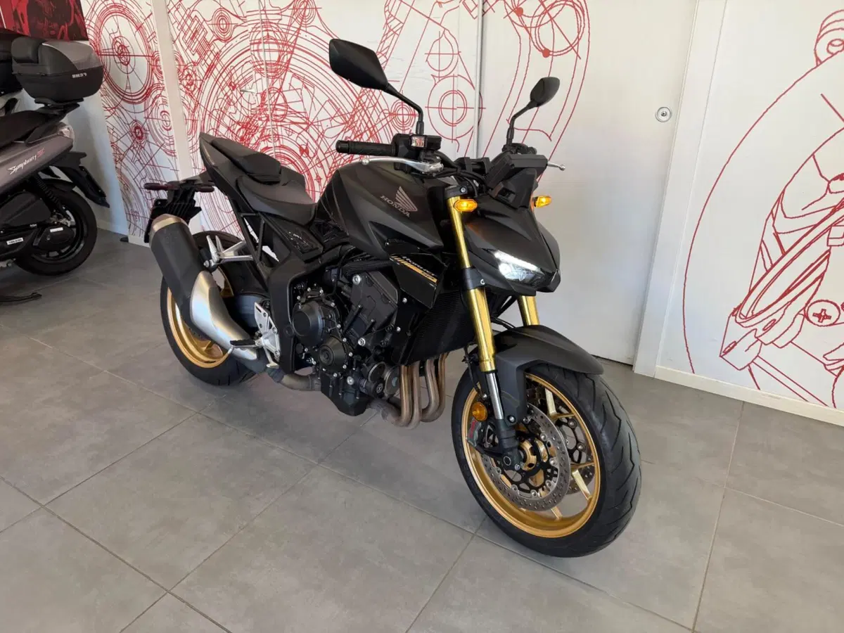 Honda CB 1000 Hornet SP (2025 - 26) (2)