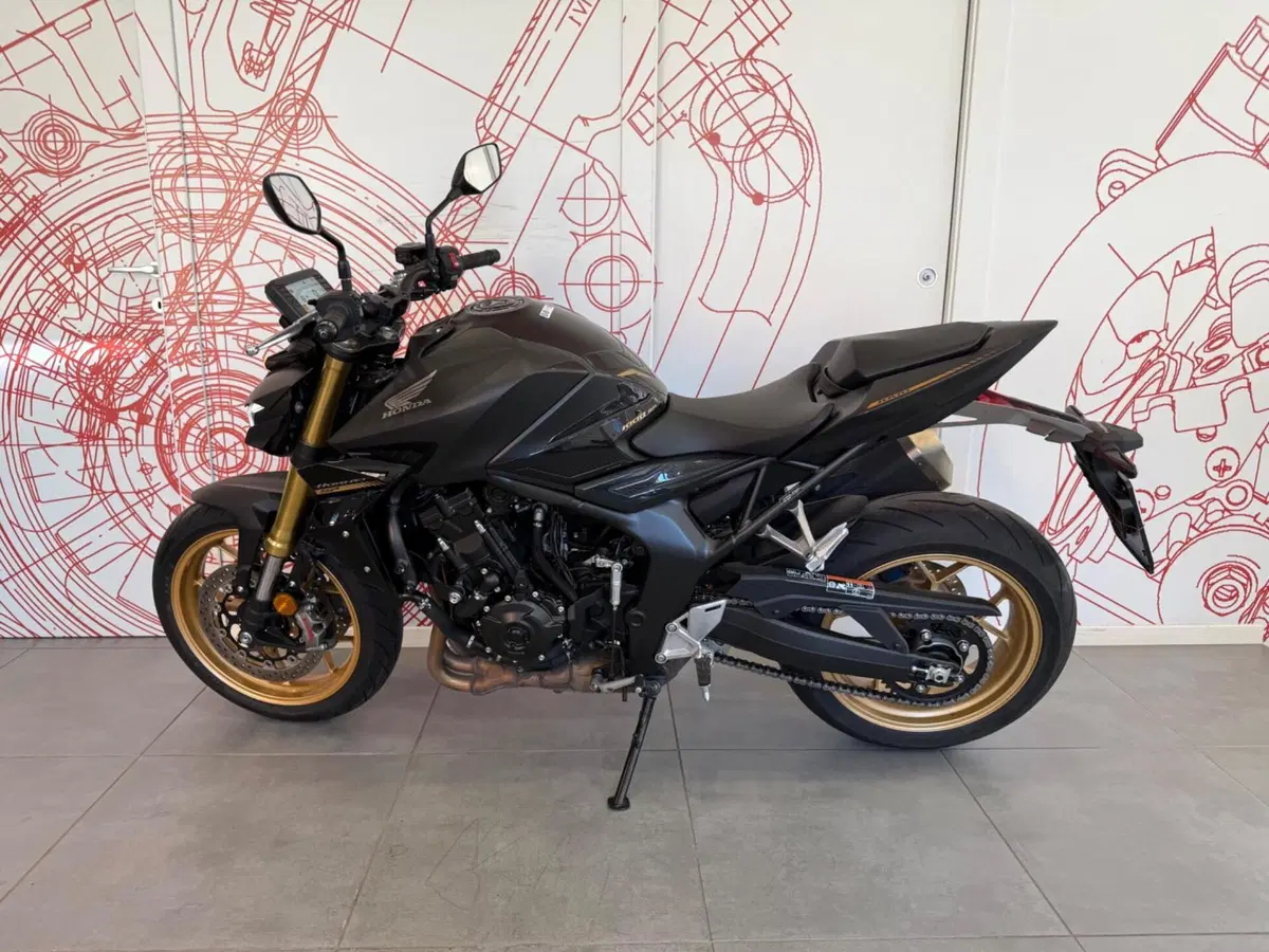 Honda CB 1000 Hornet SP (2025 - 26) (4)