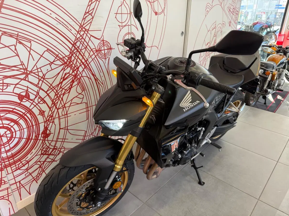 Honda CB 1000 Hornet SP (2025 - 26) (14)