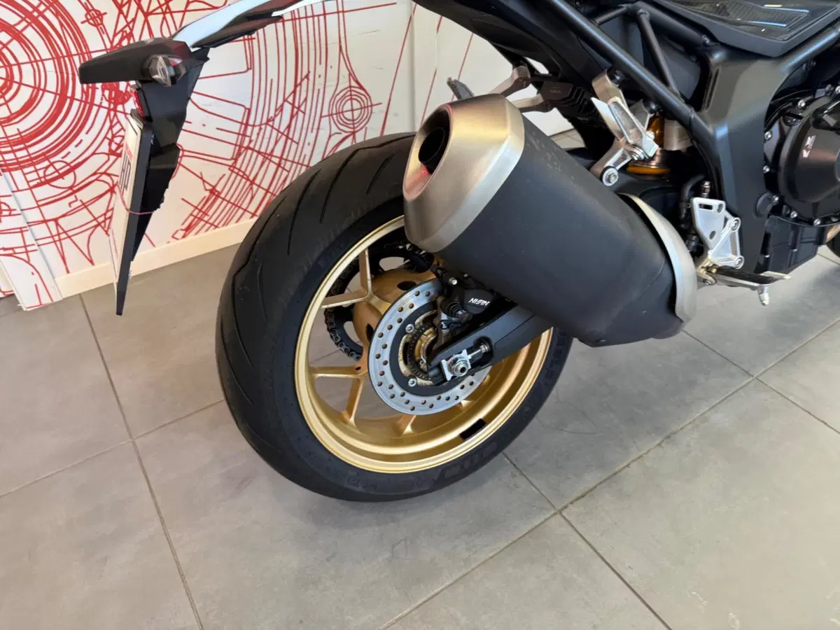 Honda CB 1000 Hornet SP (2025 - 26) (11)