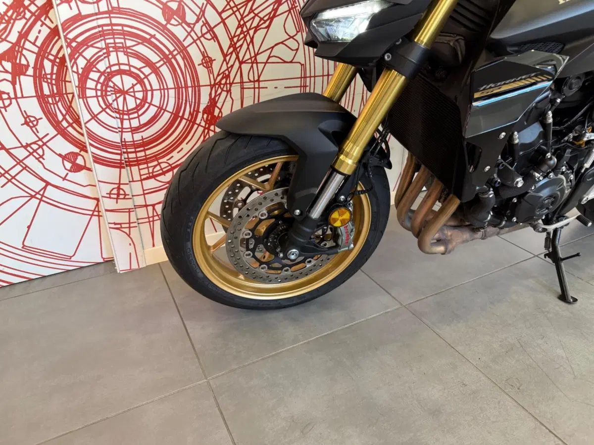 Honda CB 1000 Hornet SP (2025 - 26) (13)