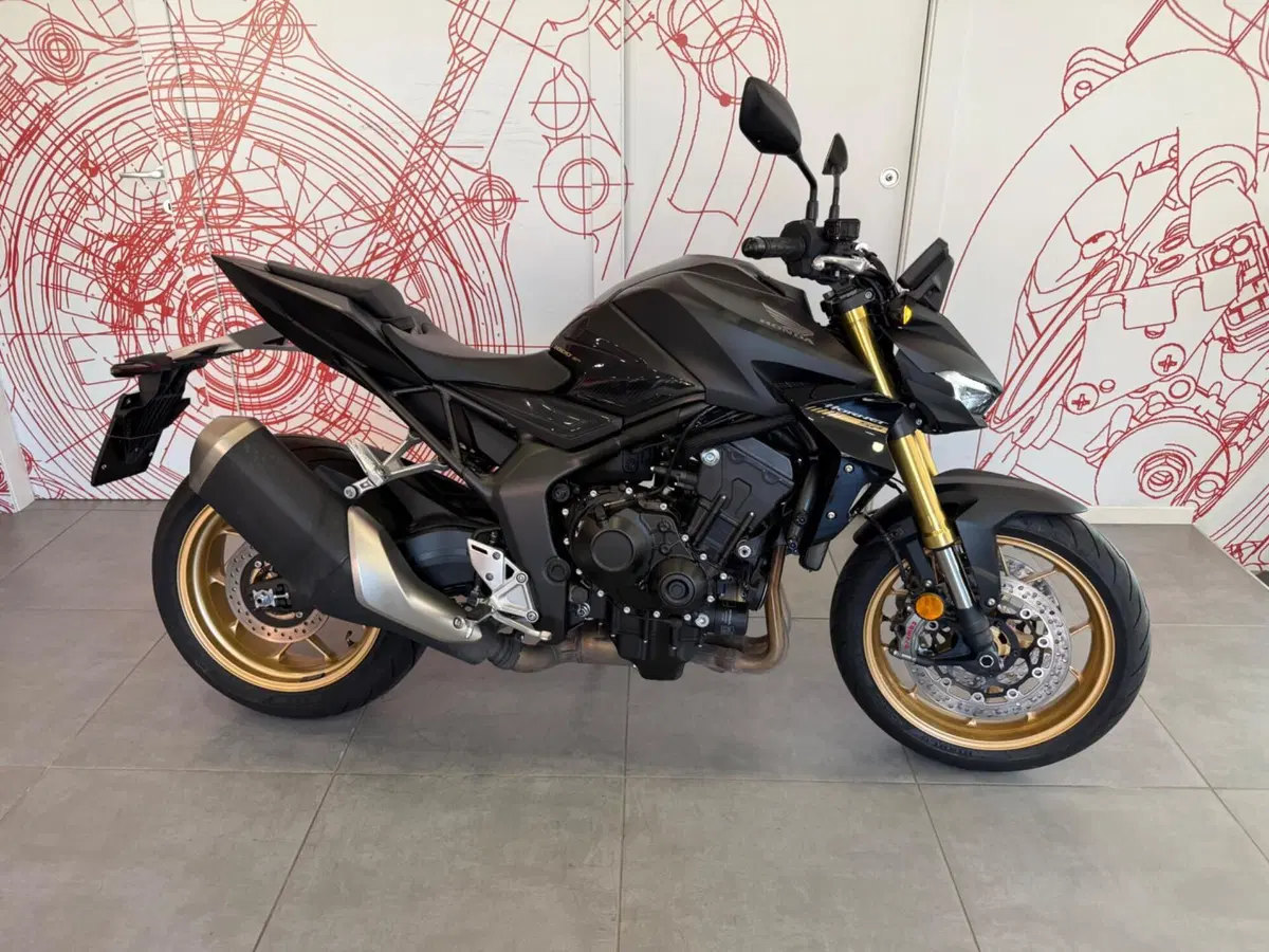 Honda CB 1000 Hornet SP (2025 - 26)