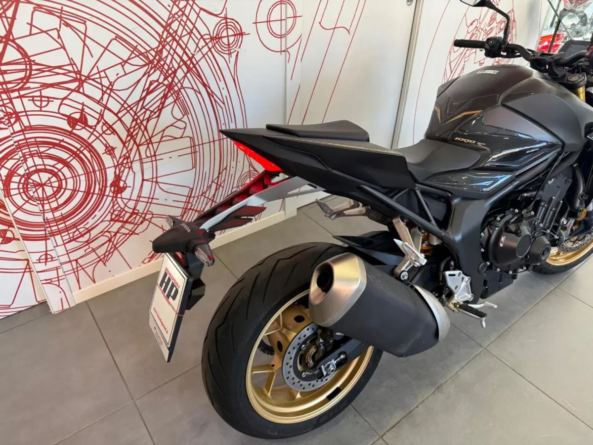 Honda CB 1000 Hornet SP (2025 - 26) (12)