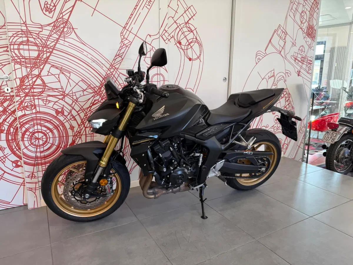 Honda CB 1000 Hornet SP (2025 - 26) (5)