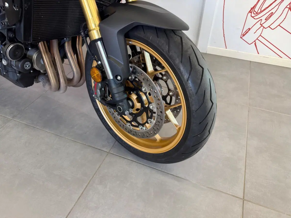 Honda CB 1000 Hornet SP (2025 - 26) (9)