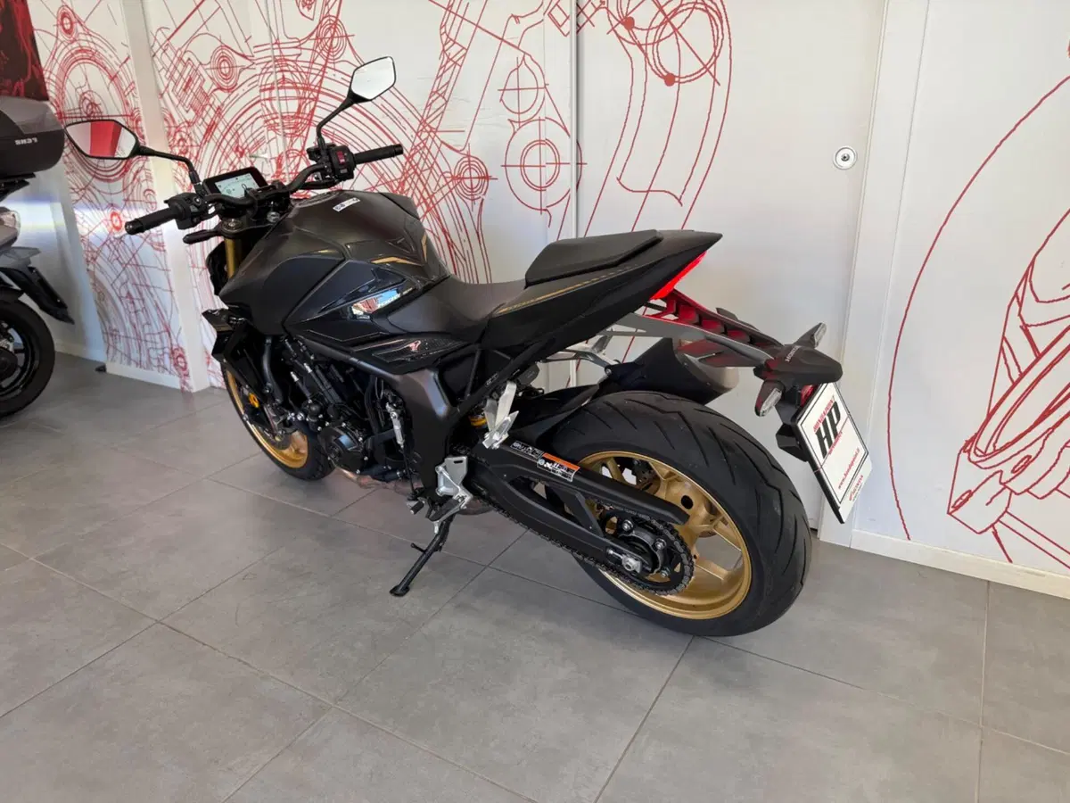 Honda CB 1000 Hornet SP (2025 - 26) (6)