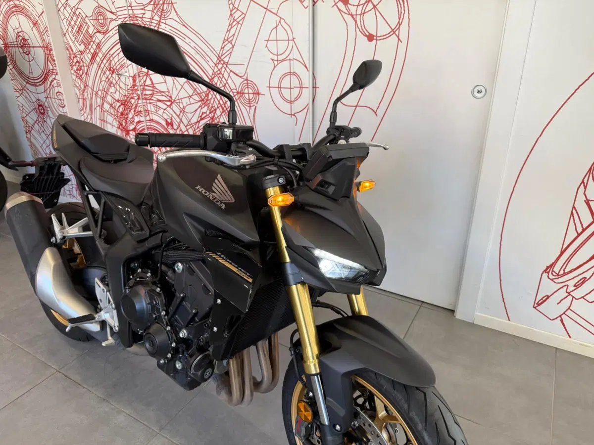 Honda CB 1000 Hornet SP (2025 - 26) (10)