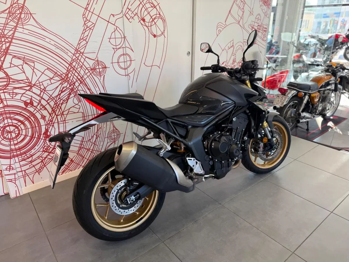 Honda CB 1000 Hornet SP (2025 - 26) (3)
