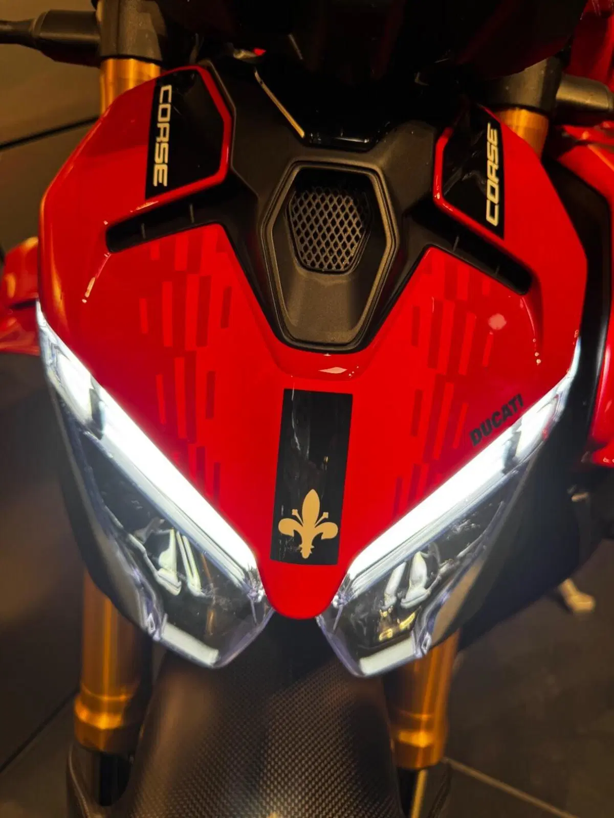 Ducati Streetfighter V4 S (2025 - 26) (7)