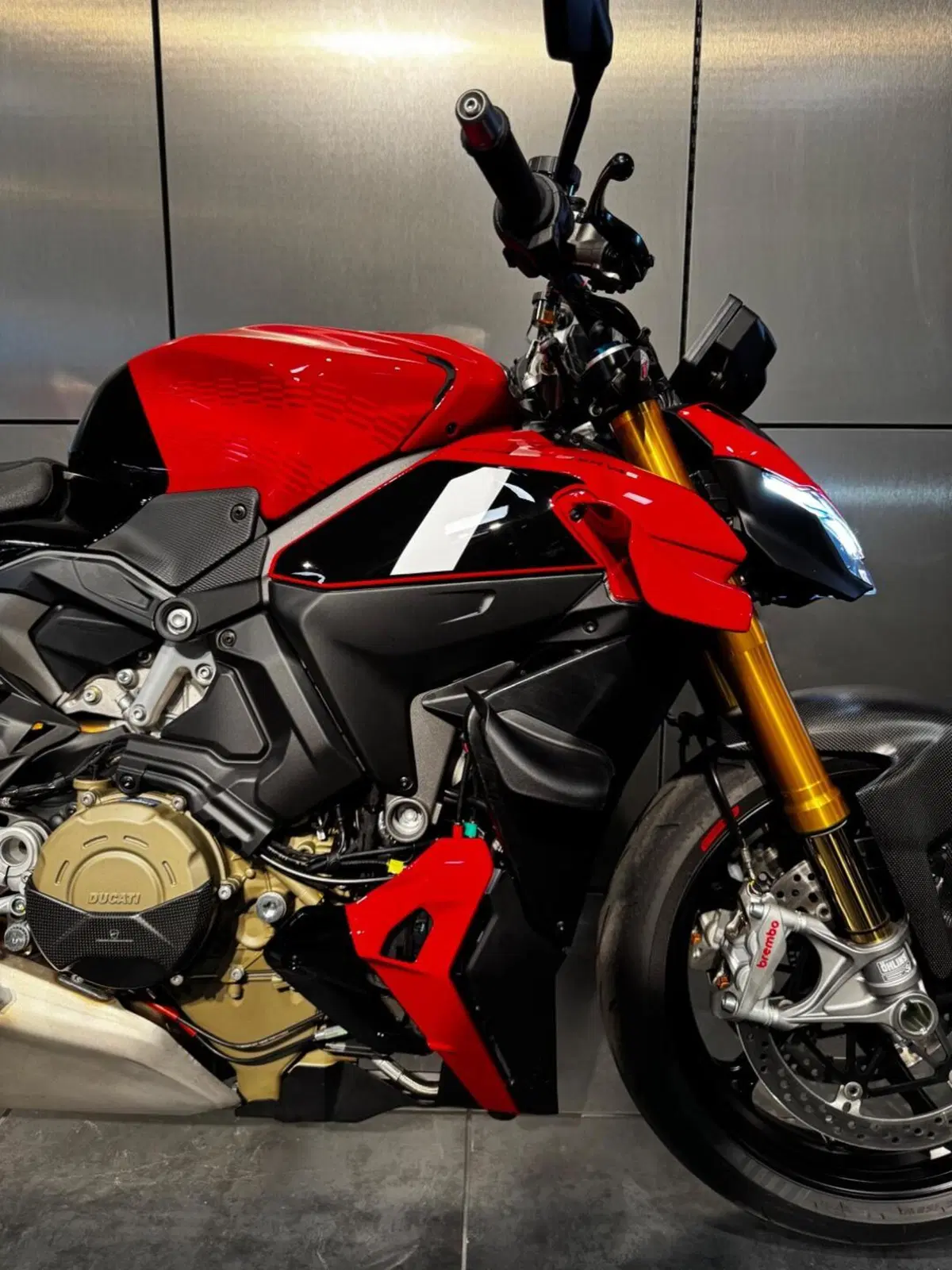 Ducati Streetfighter V4 S (2025 - 26) (15)