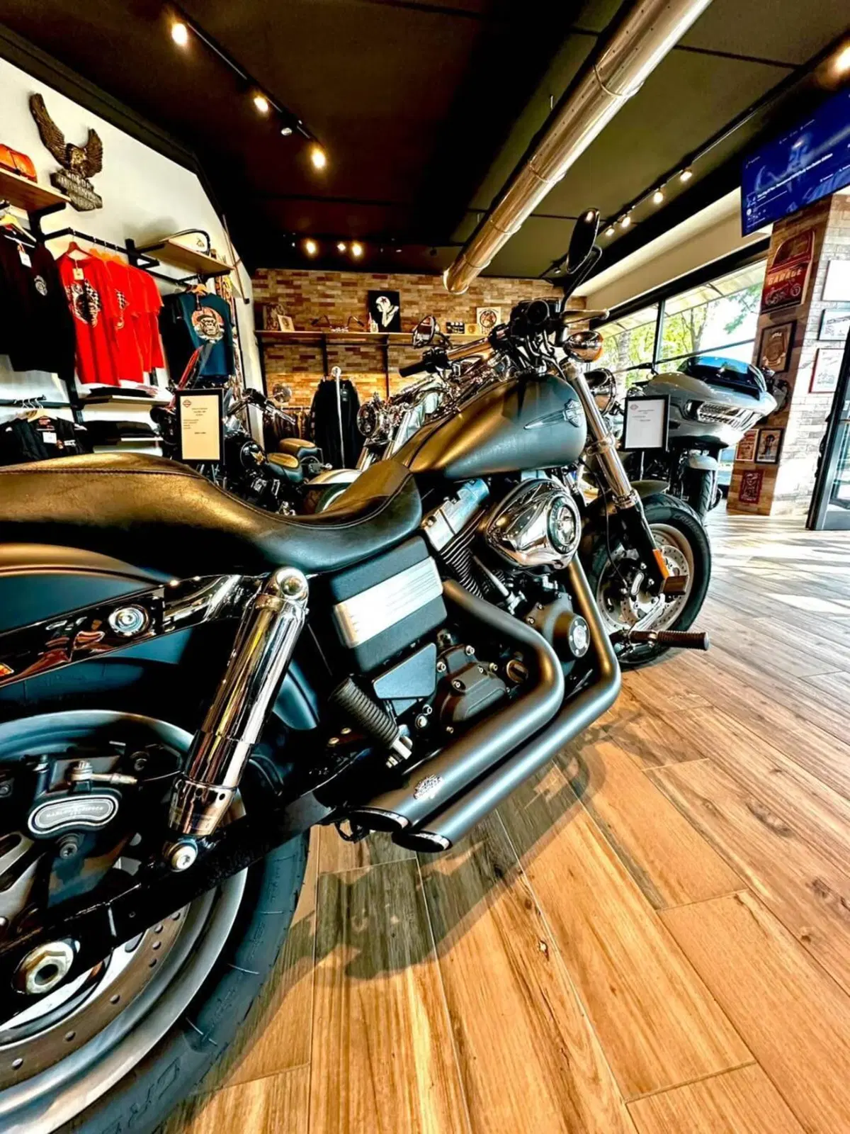 Harley-Davidson 1584 Fat Bob (2007 - 13) - FXDF (5)