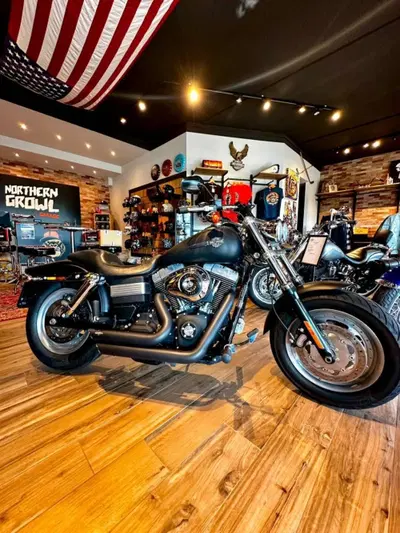 Harley-Davidson 1584 Fat Bob (2007 - 13) - FXDF usata