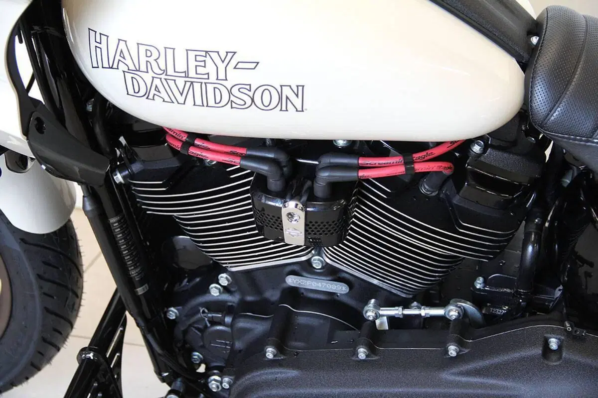 Harley-Davidson Low Rider ST (2022 - 24) (15)