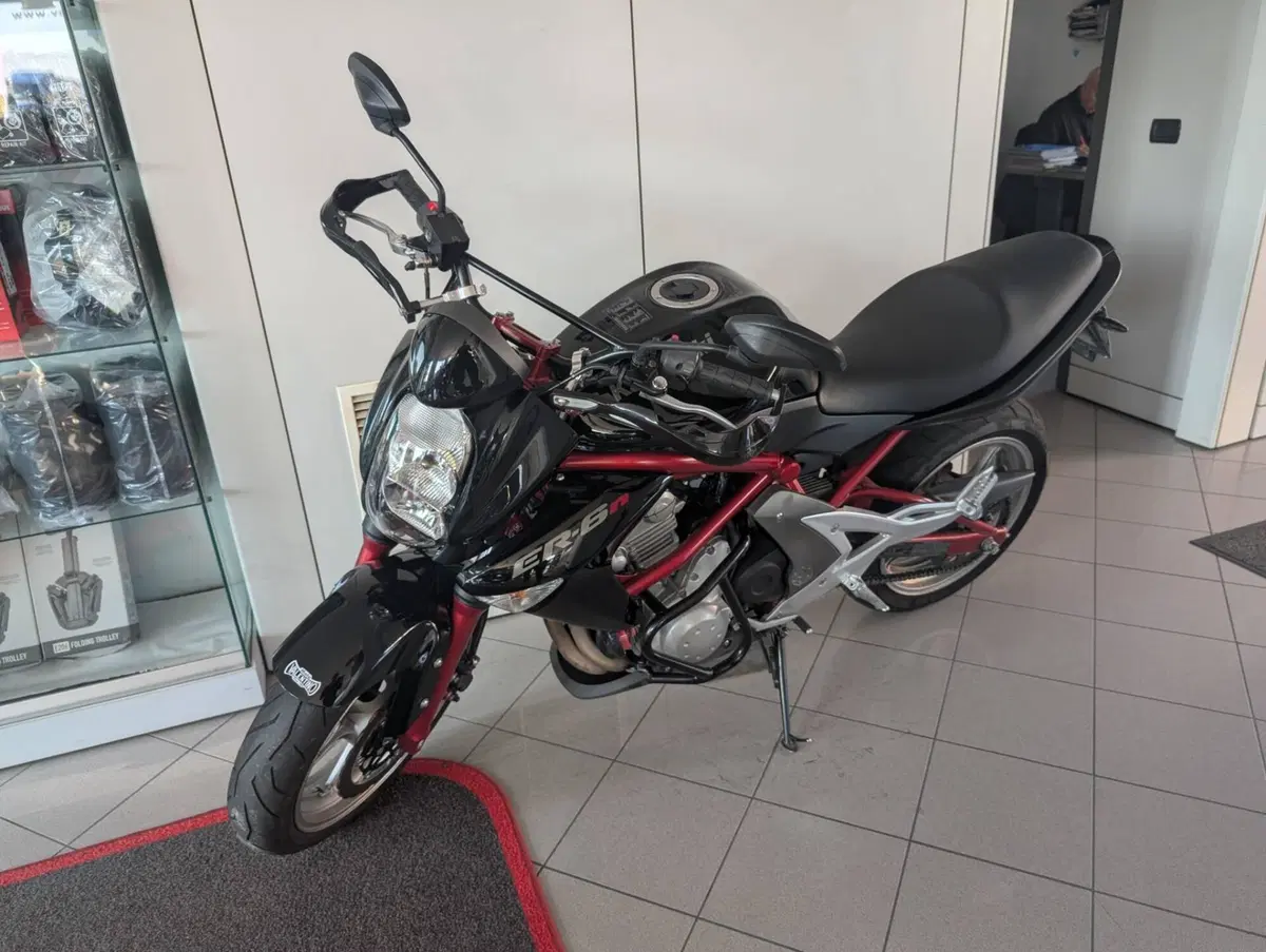 Kawasaki ER-6N (2006 - 09)
