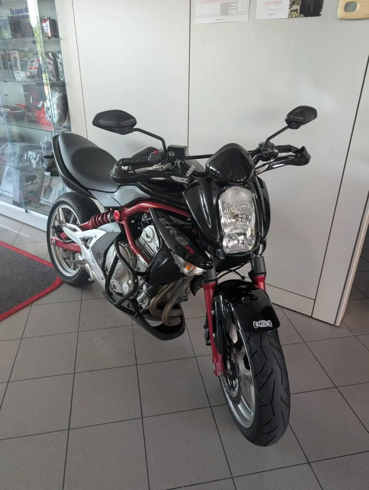 Kawasaki ER-6N (2006 - 09) (2)