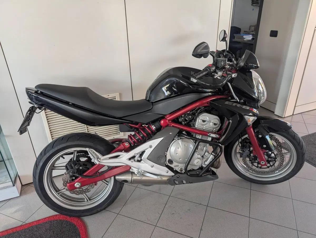 Kawasaki ER-6N (2006 - 09) (5)