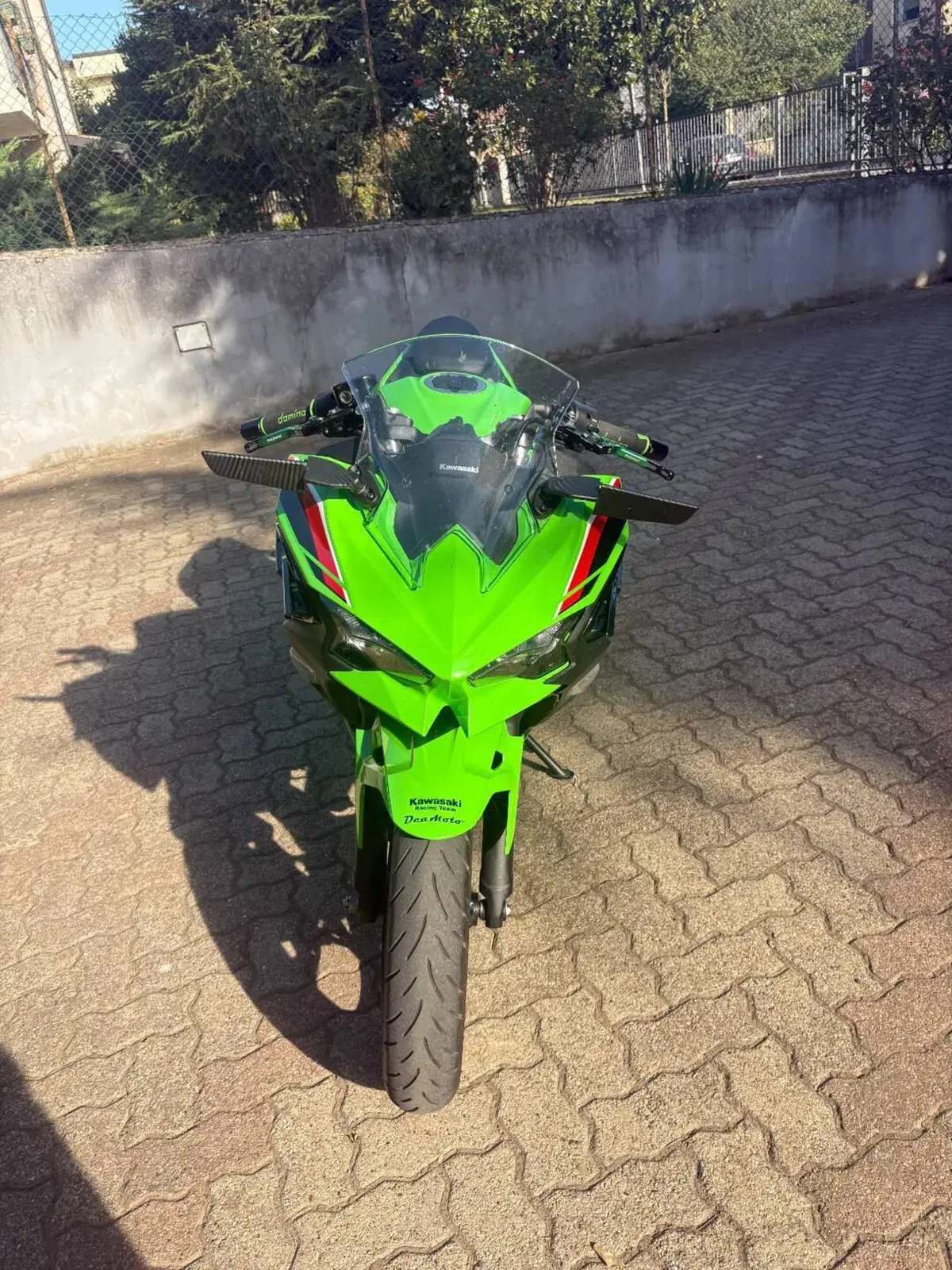 Kawasaki Ninja 500 SE (2024 - 27) (2)