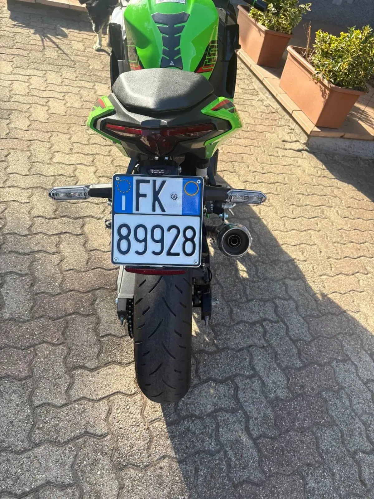 Kawasaki Ninja 500 SE (2024 - 27) (4)