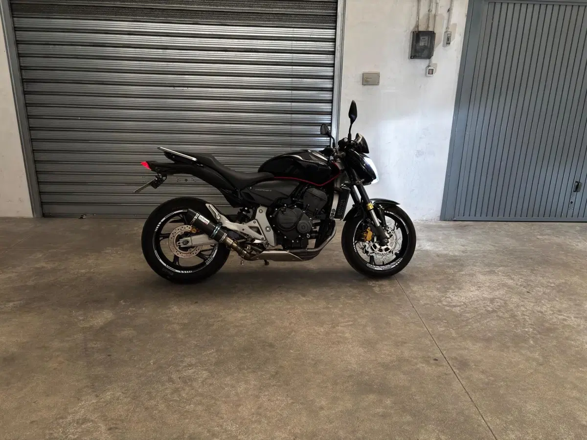 Honda Hornet 600 (2007 - 10)