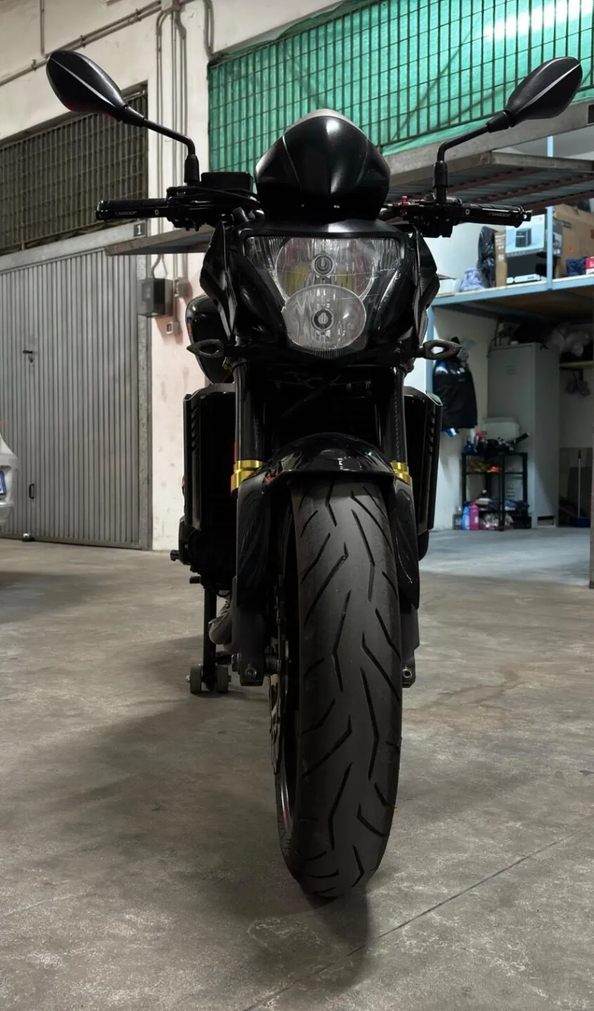 Honda Hornet 600 (2007 - 10) (2)