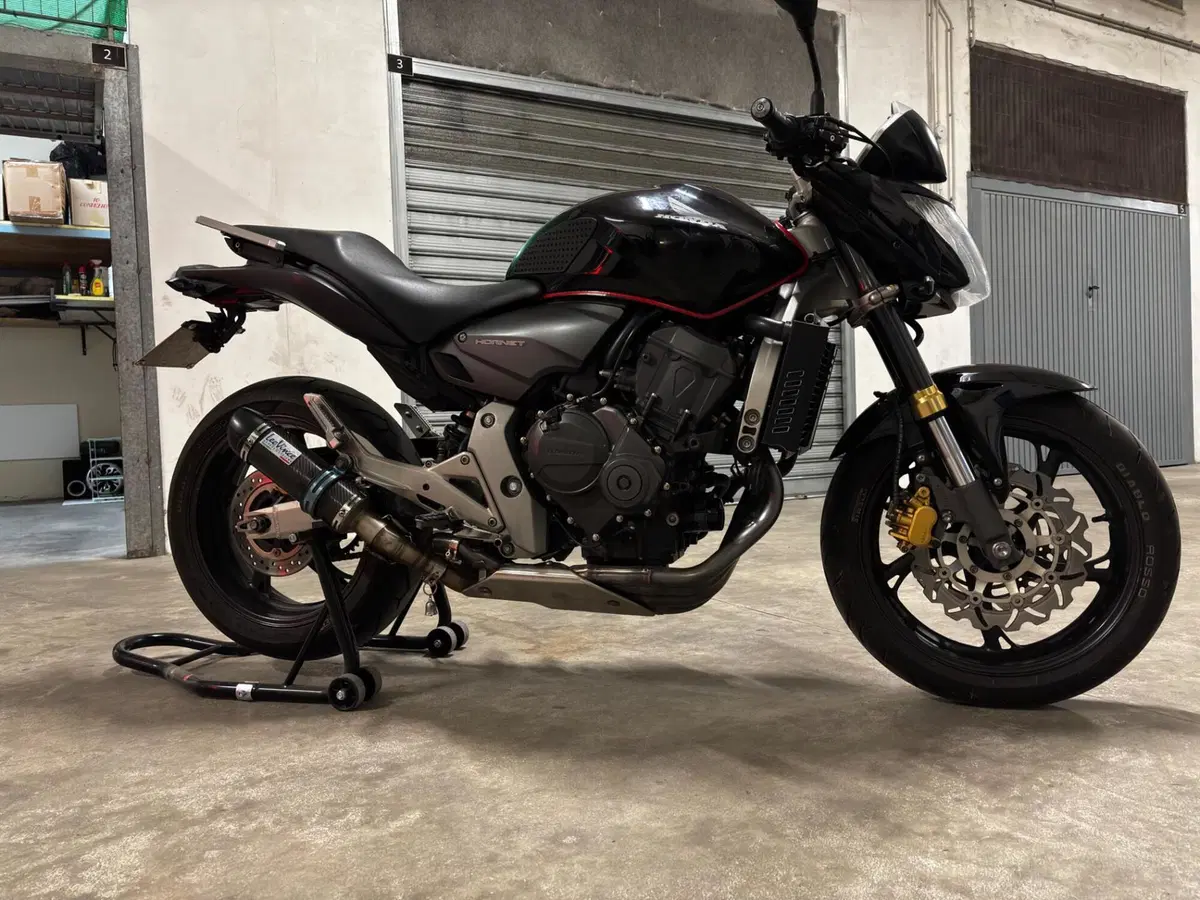 Honda Hornet 600 (2007 - 10) (4)