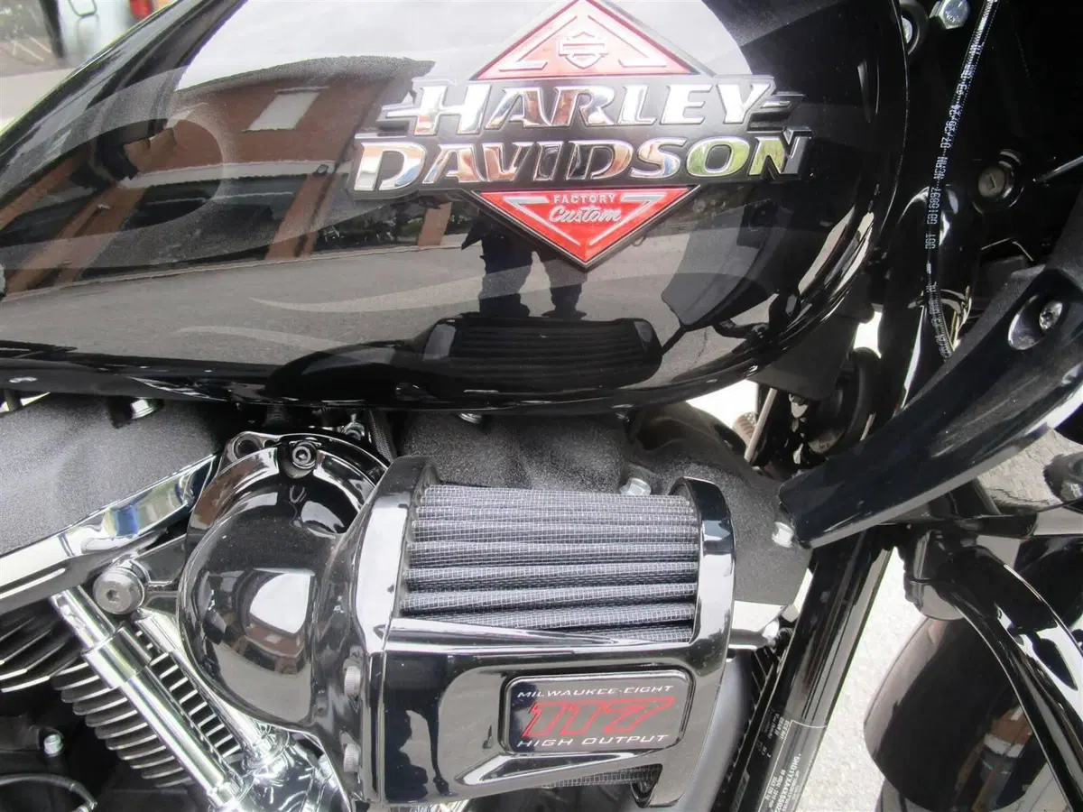 Harley-Davidson Low Rider ST (2025 - 26) (8)