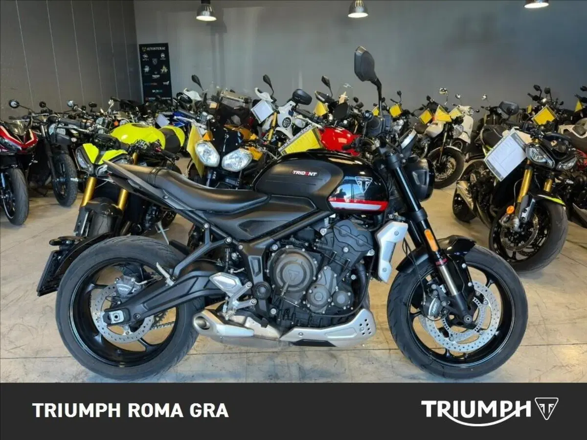 Triumph Trident 660 (2021 - 24)