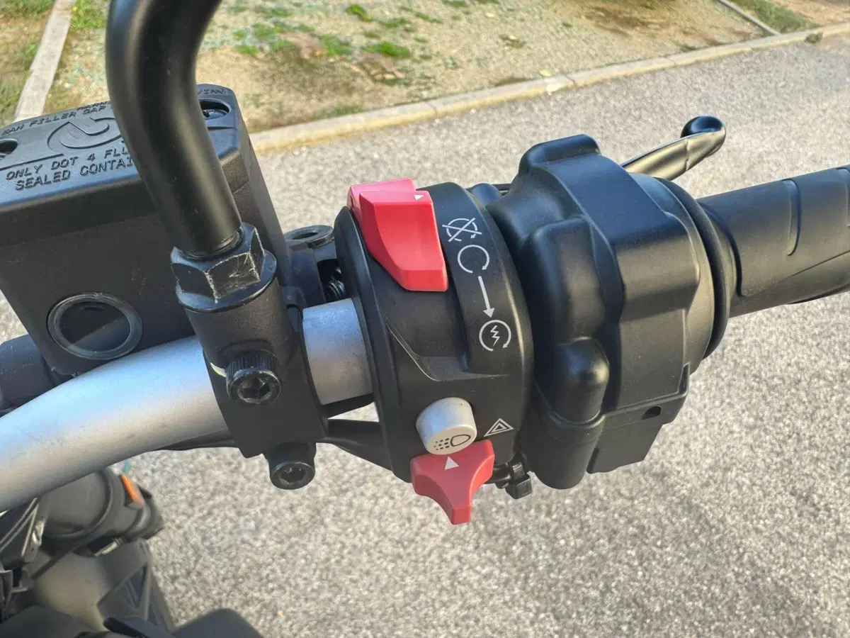 Ducati Scrambler 800 Icon Dark (2025 - 26) (9)